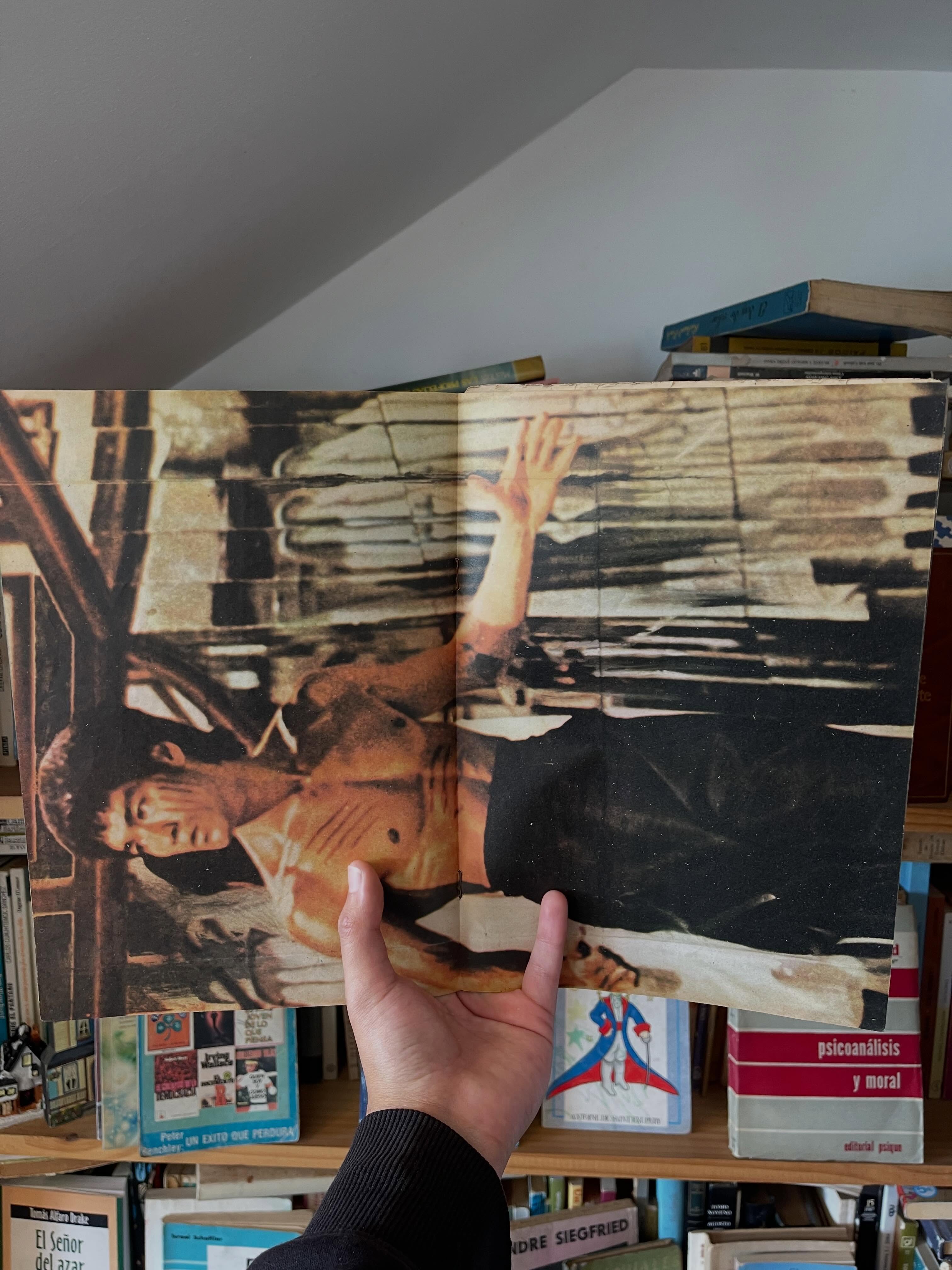 Revistas Bruce Lee - Libros Frannie