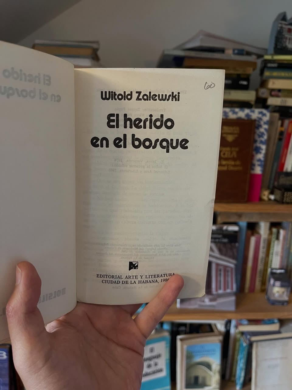 El herido en el bosque - Imagen 3