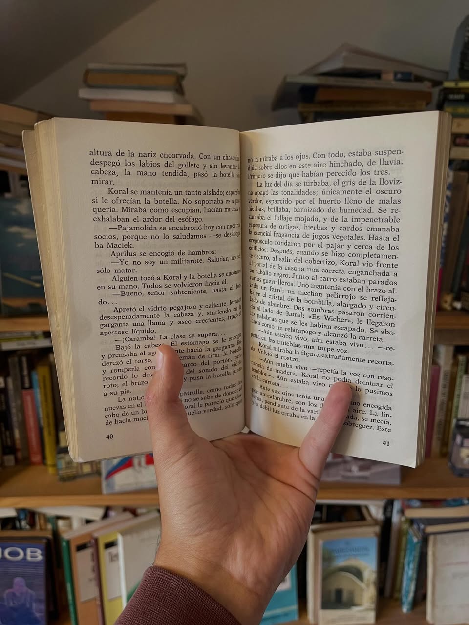 El herido en el bosque - Imagen 4
