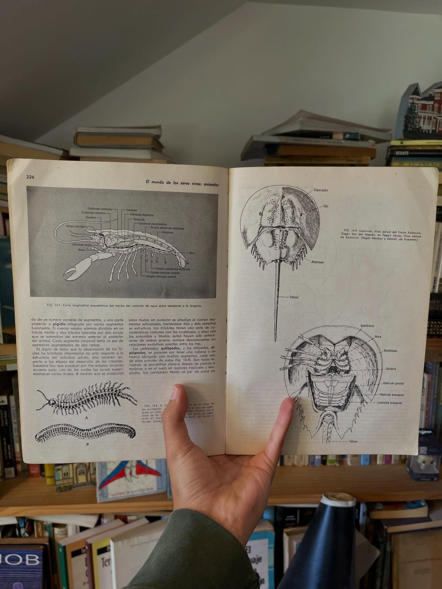 Biología - Libros Frannie