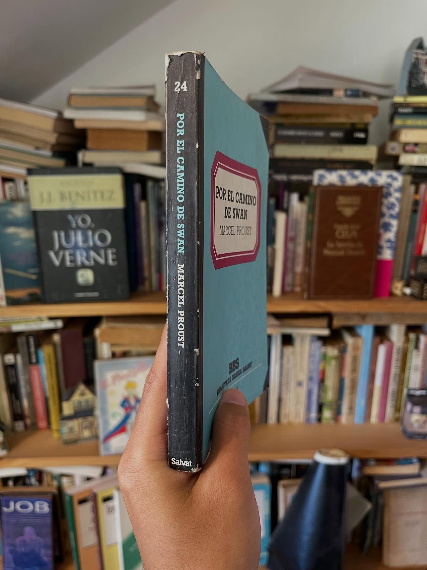 Por el camino de Swan - Libros Frannie