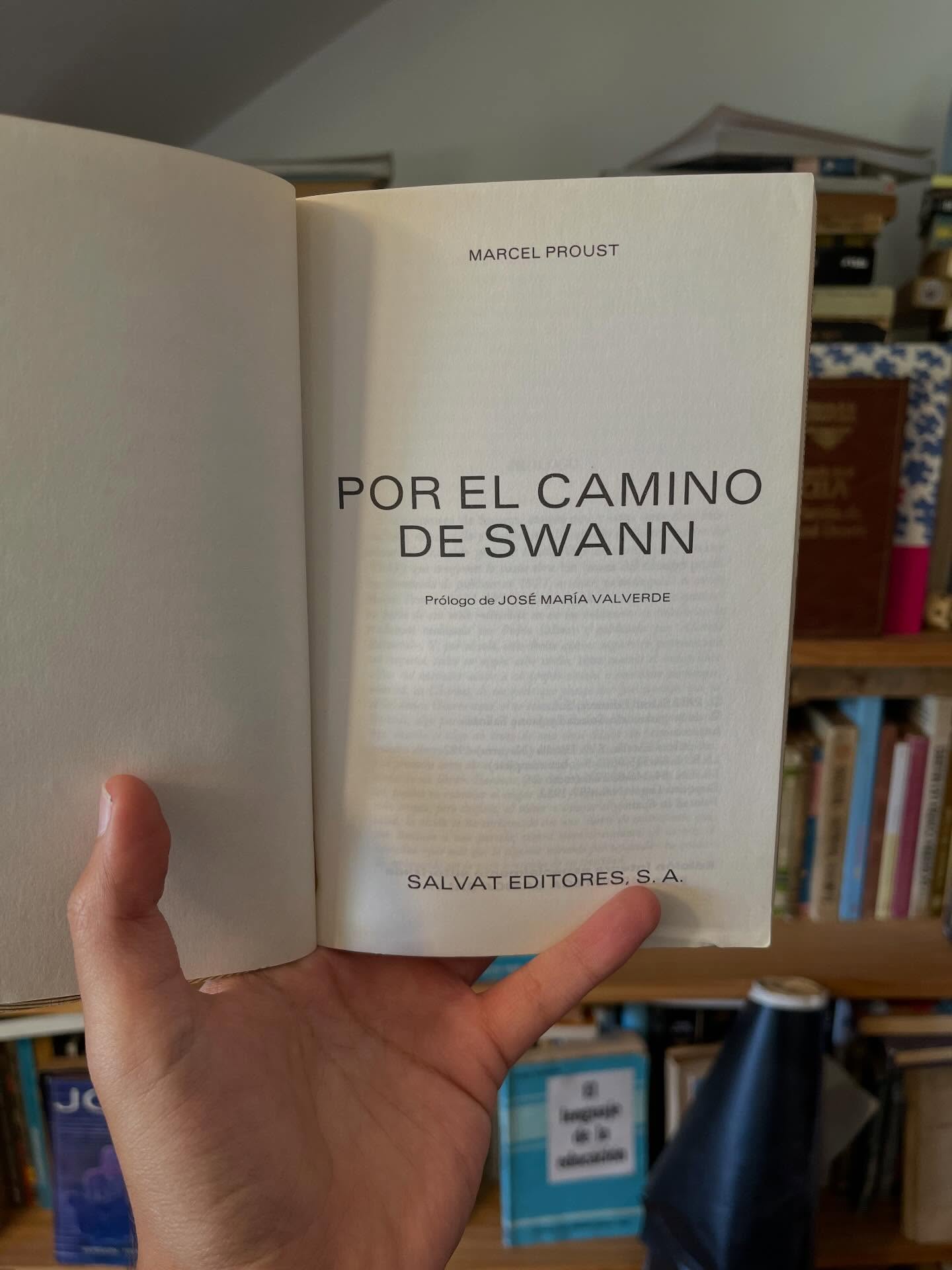 Por el camino de Swan - Libros Frannie