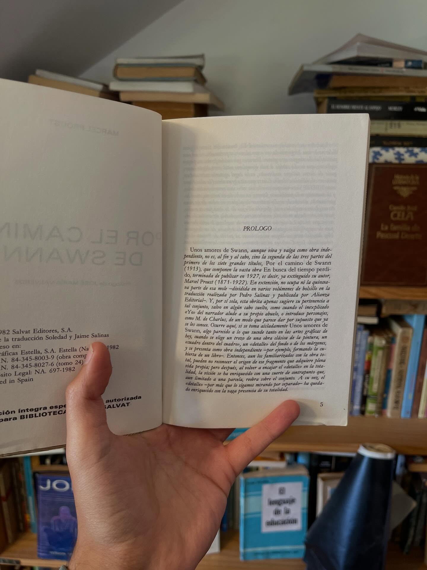 Por el camino de Swan - Libros Frannie