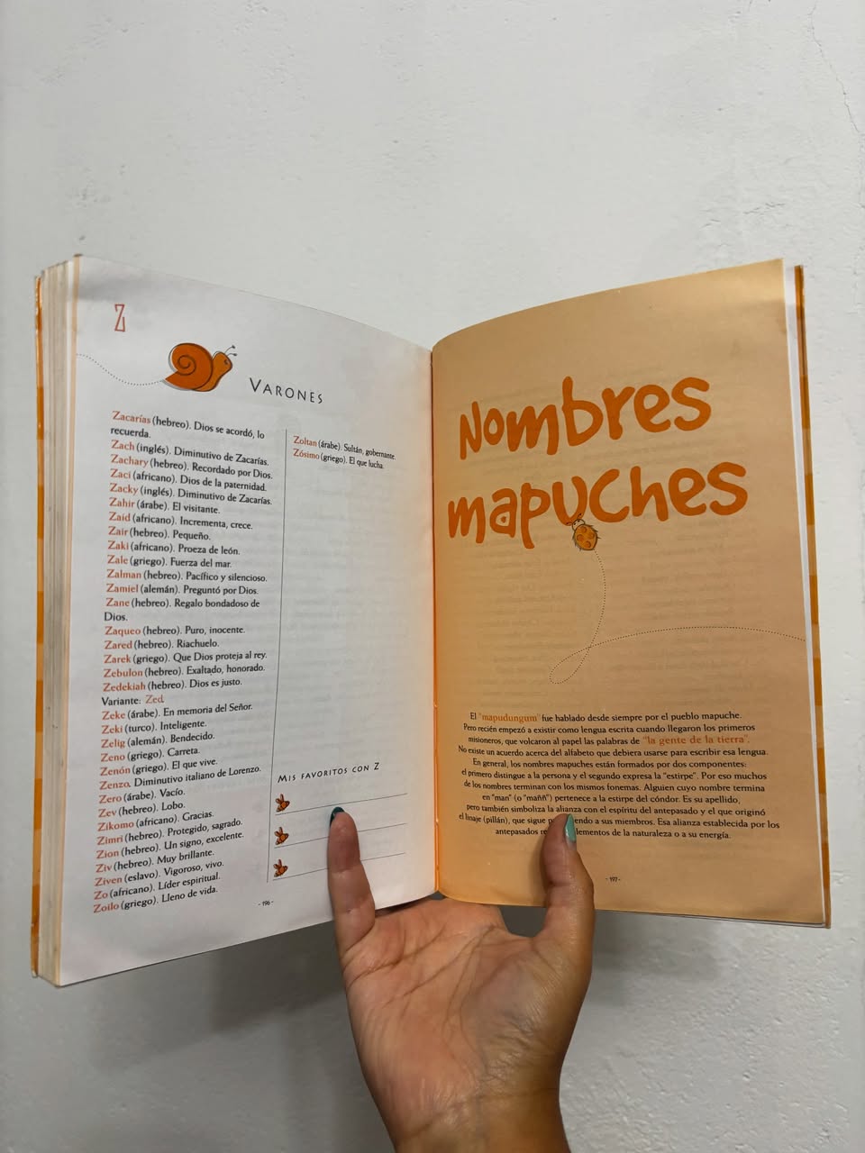 El libro de los nombres del bebé - Libros Frannie