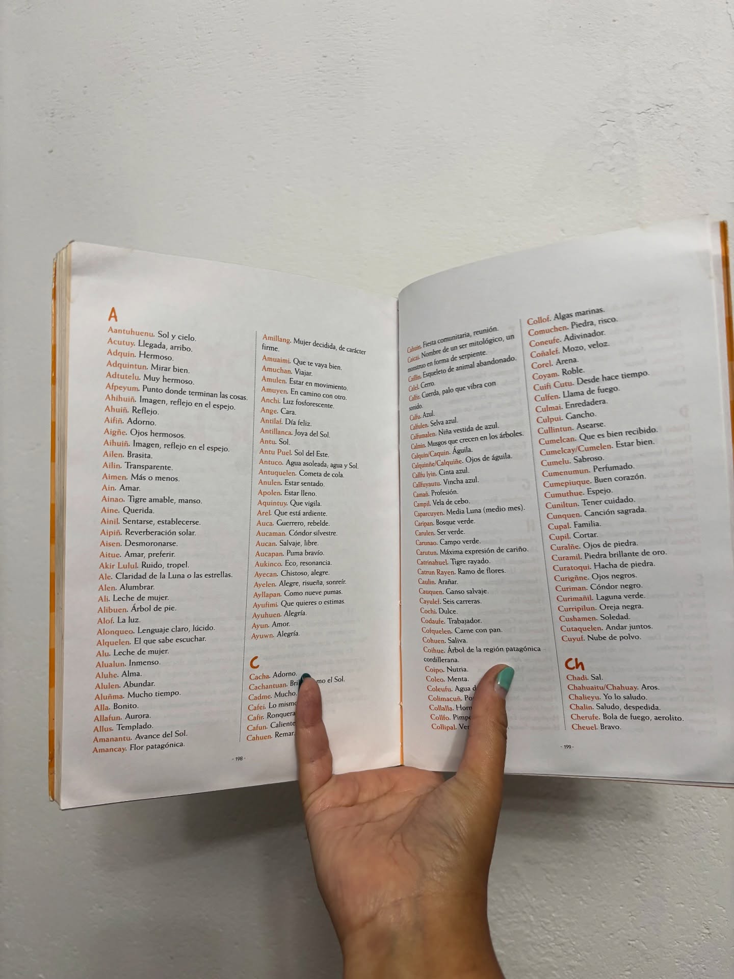 El libro de los nombres del bebé - Libros Frannie