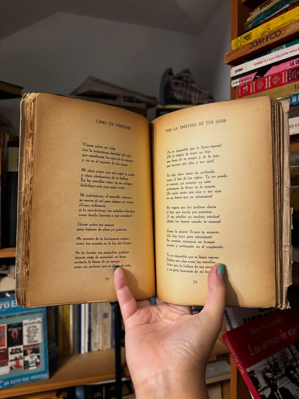 La ciudad invisible - Libros Frannie