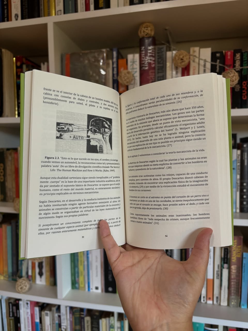 El renacimiento de la naturaleza - Libros Frannie
