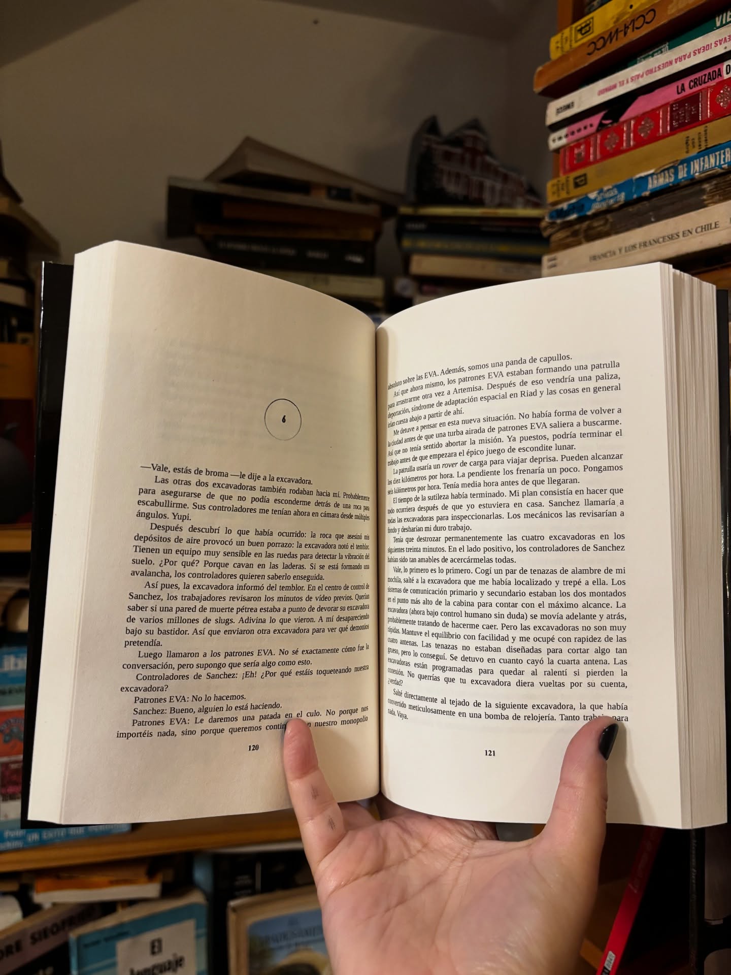 Artemisa - Libros Frannie