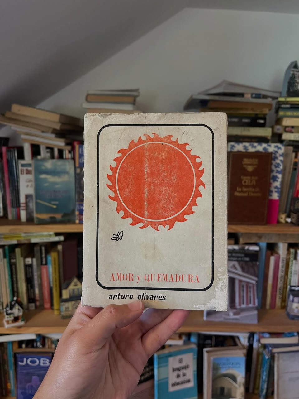 Amor y Quemadura - Libros Frannie