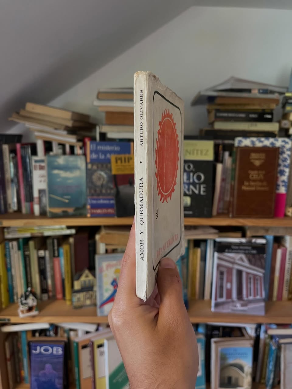 Amor y Quemadura - Libros Frannie