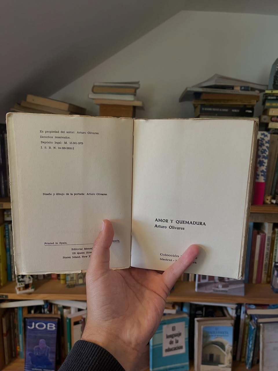 Amor y Quemadura - Libros Frannie