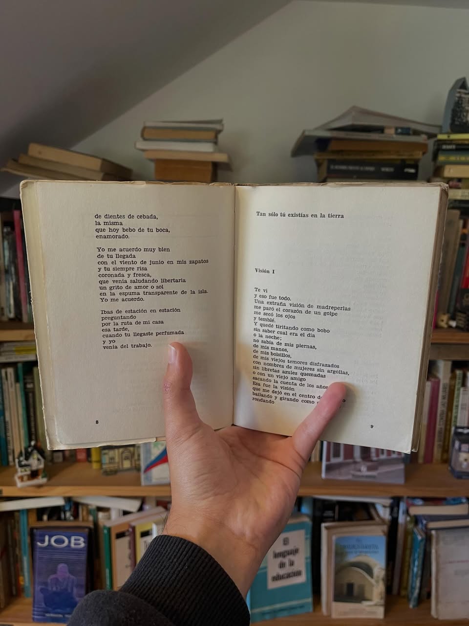 Amor y Quemadura - Libros Frannie