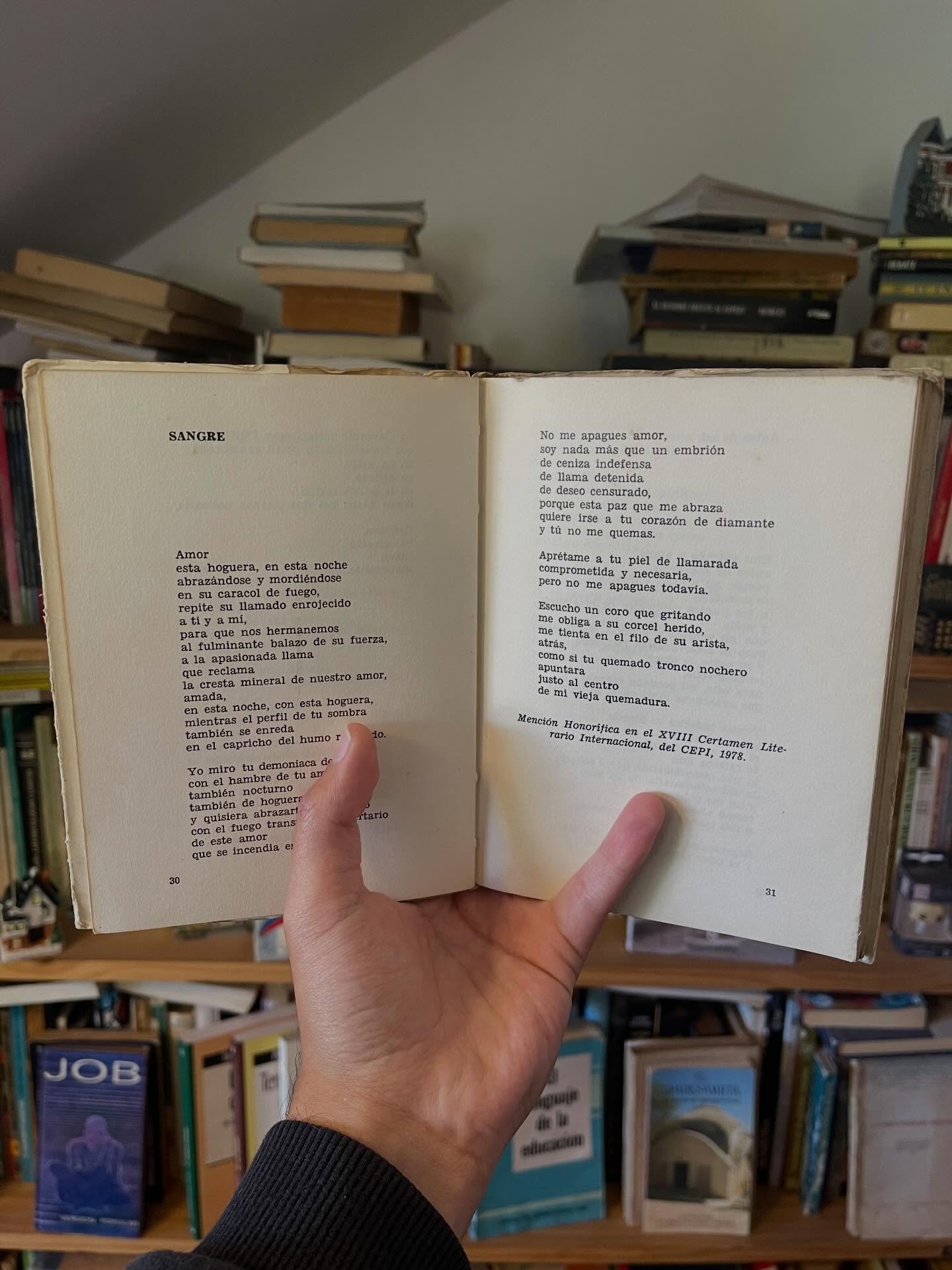 Amor y Quemadura - Libros Frannie