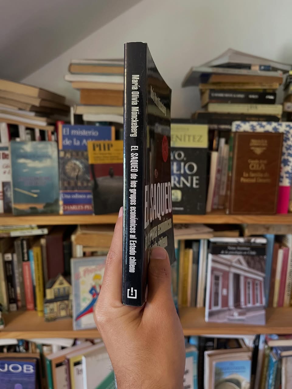 El saqueo de los grupos económicos al Estado chileno - Libros Frannie