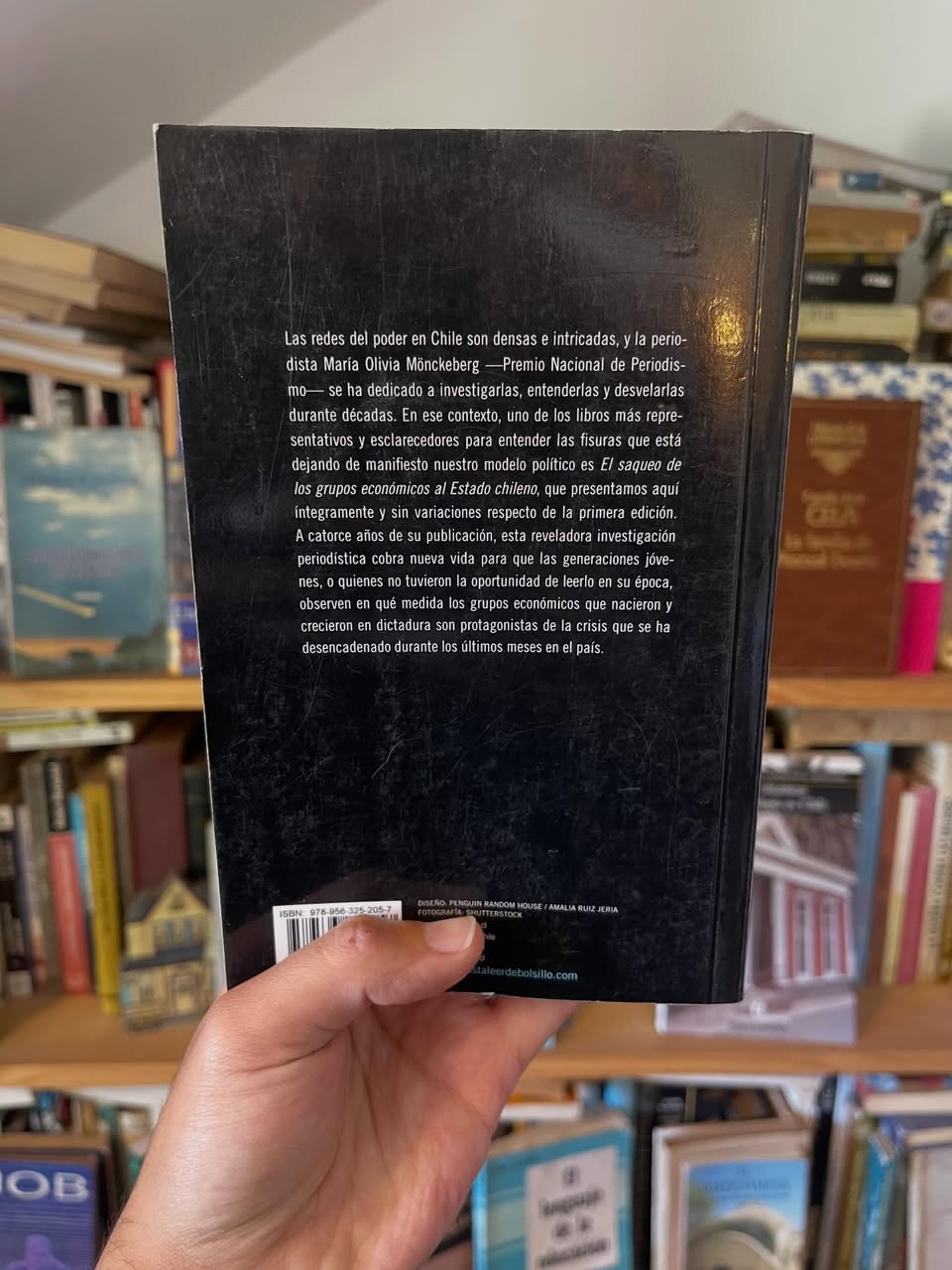 El saqueo de los grupos económicos al Estado chileno - Libros Frannie