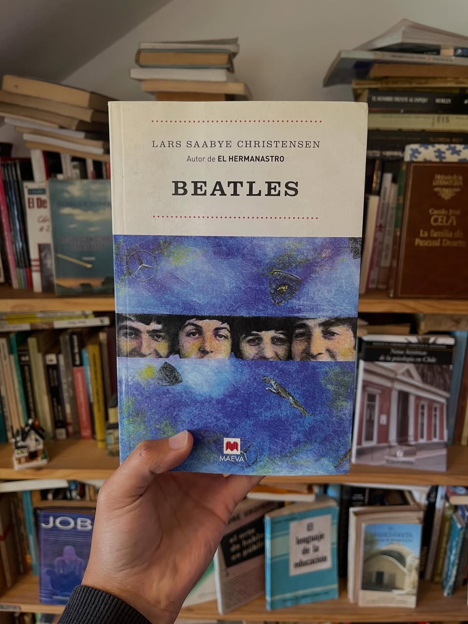 Beatles - Libros Frannie