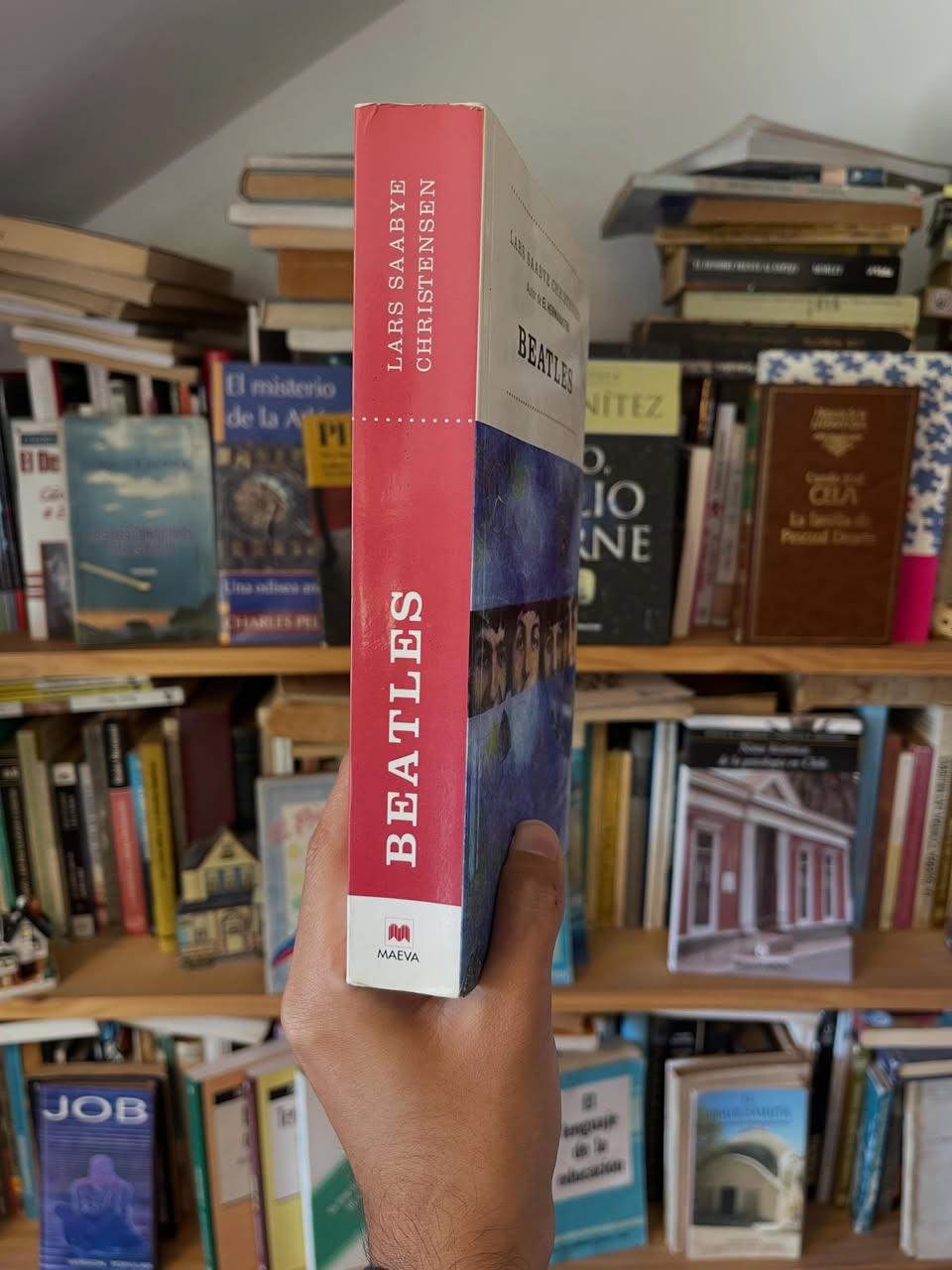 Beatles - Libros Frannie