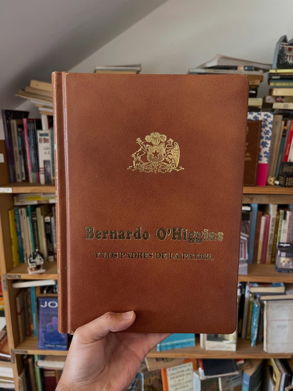 Bernardo O’higgins y los padres de la Patria - Libros Frannie