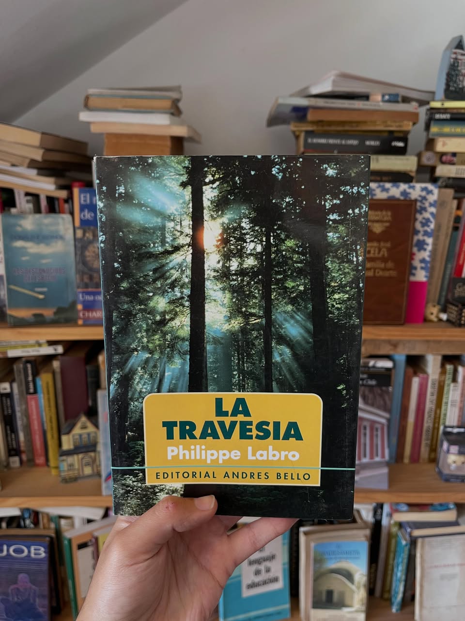 La travesía - Libros Frannie