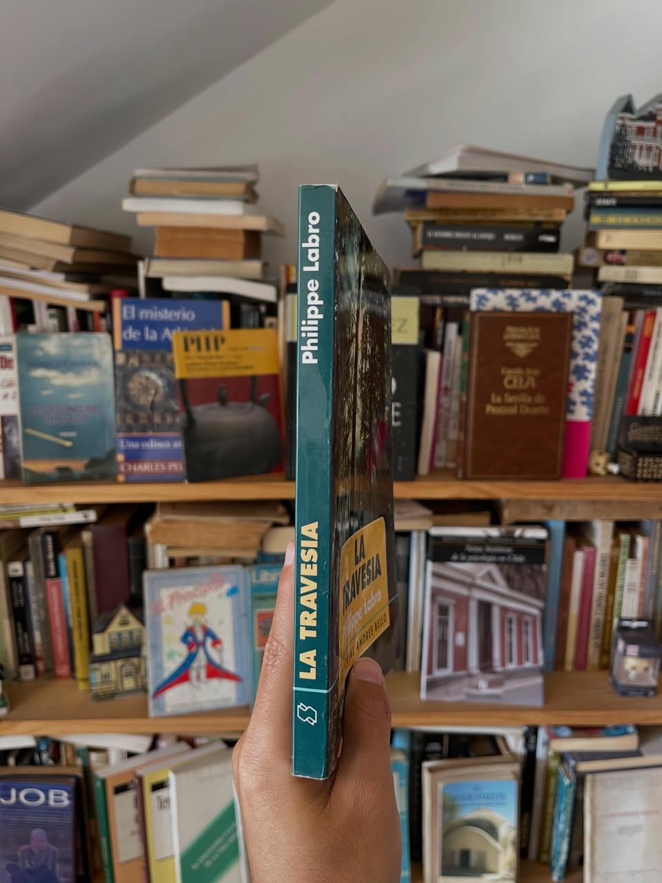 La travesía - Libros Frannie
