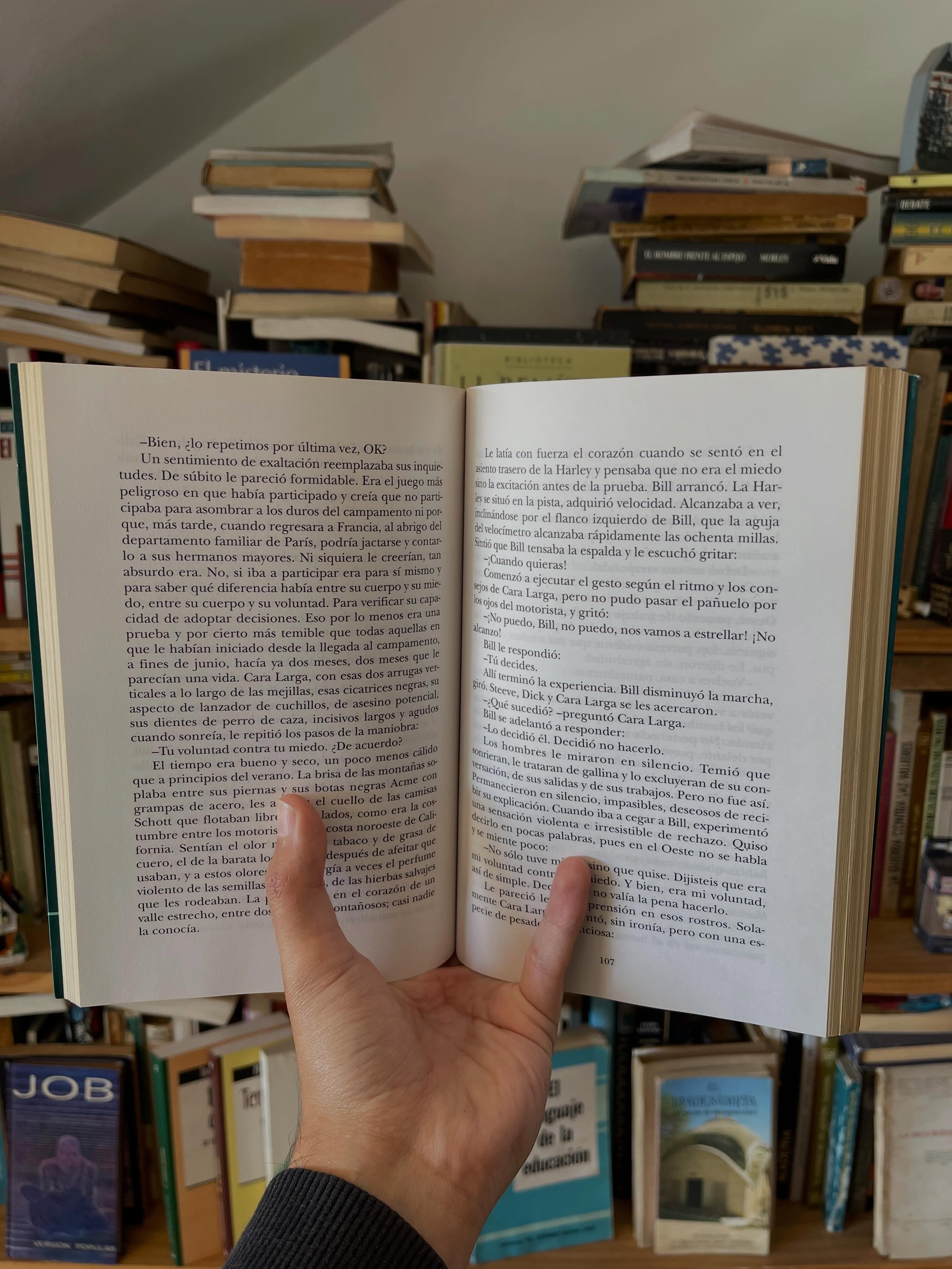 La travesía - Libros Frannie