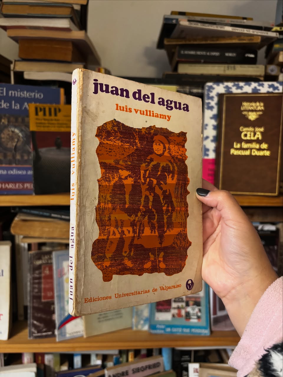 Juan del agua - Libros Frannie