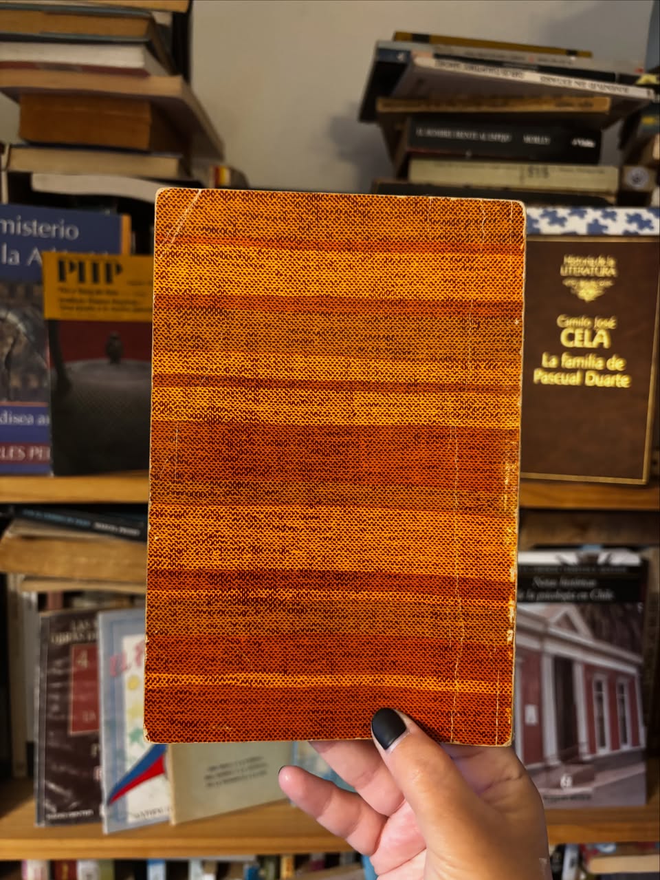 Juan del agua - Libros Frannie