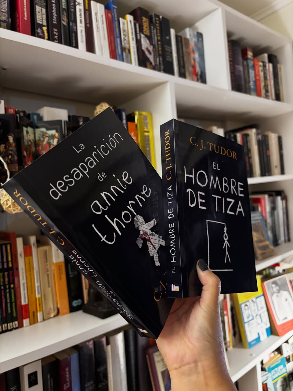 La desaparición de Annie Thorne & El hombre de Tiza - Libros Frannie