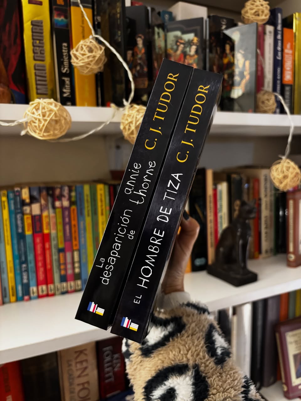 La desaparición de Annie Thorne & El hombre de Tiza - Libros Frannie