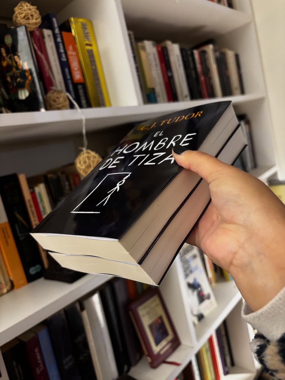 La desaparición de Annie Thorne & El hombre de Tiza - Libros Frannie