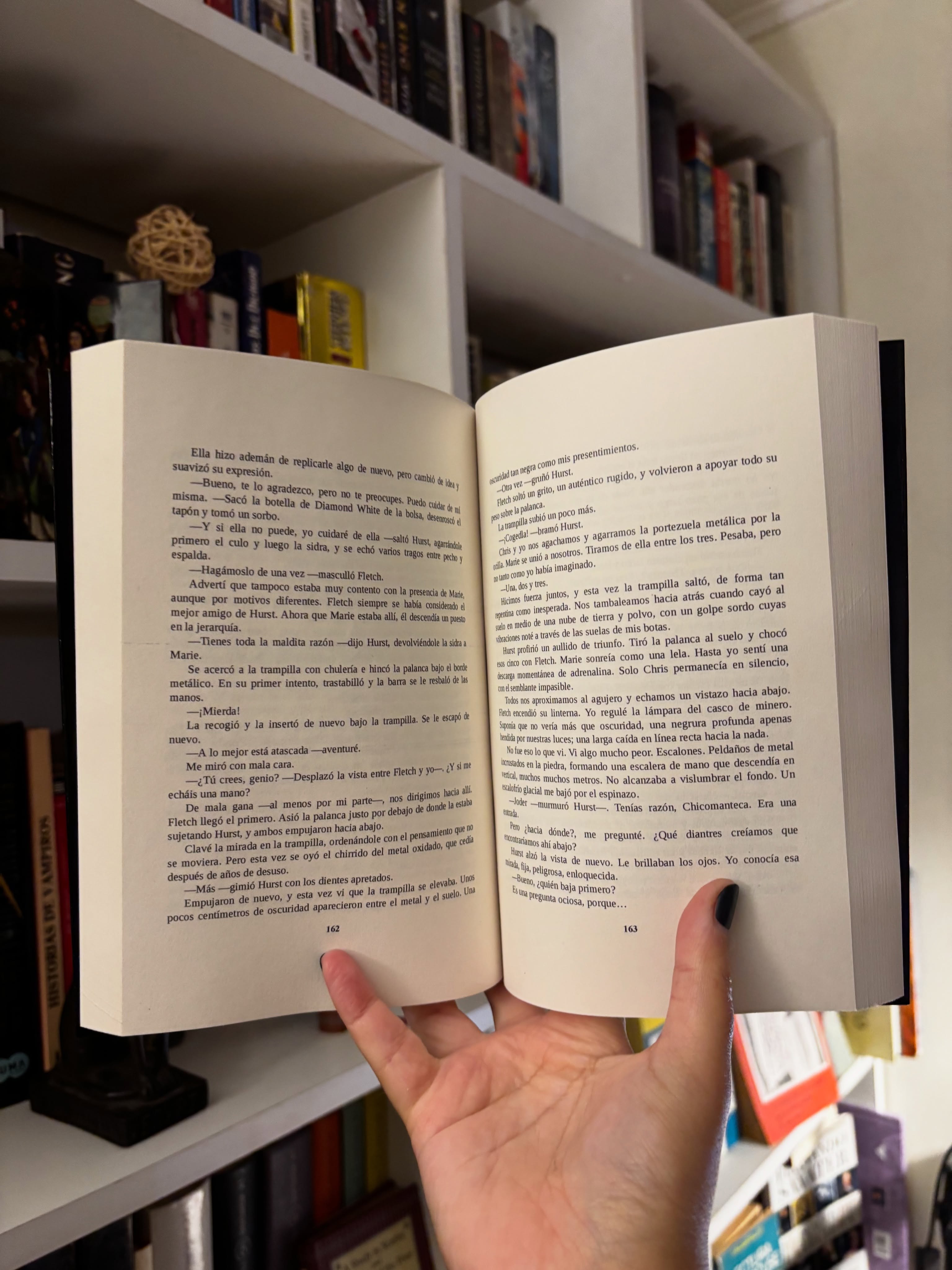 La desaparición de Annie Thorne & El hombre de Tiza - Libros Frannie