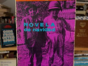 Novela de navidad - Libros Frannie