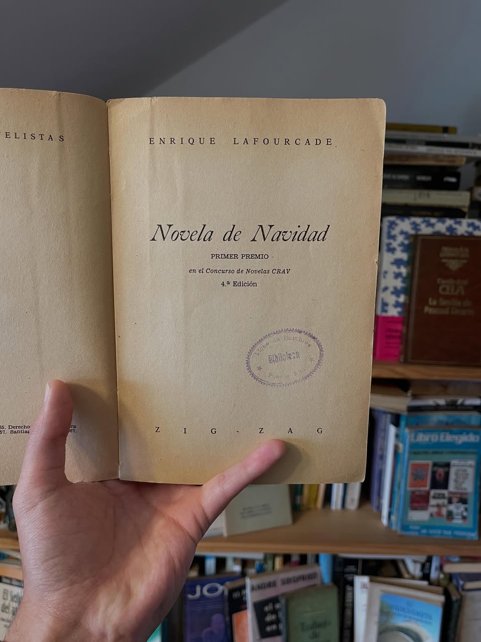 Novela de navidad - Libros Frannie