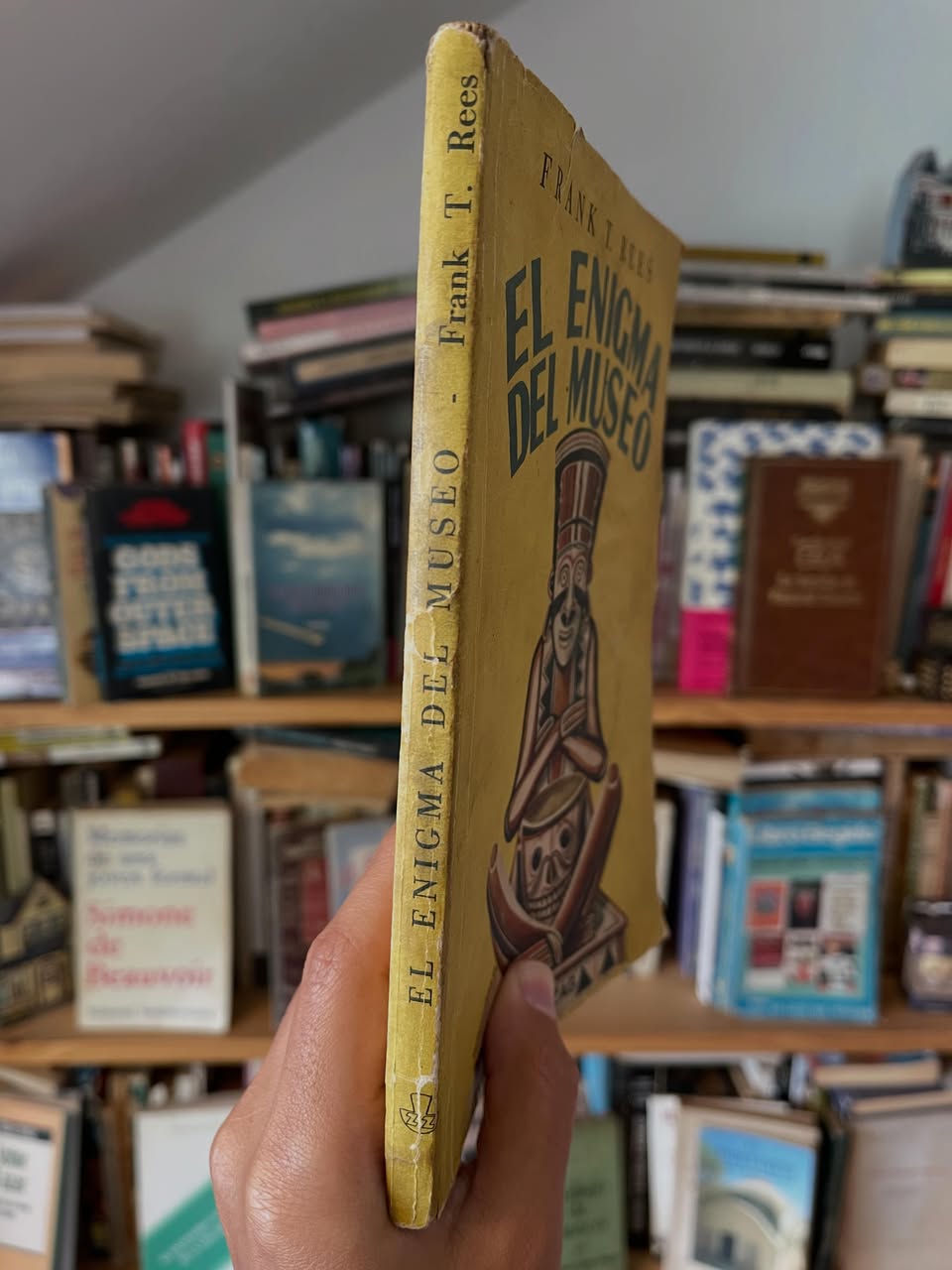 El enigma del museo - Libros Frannie