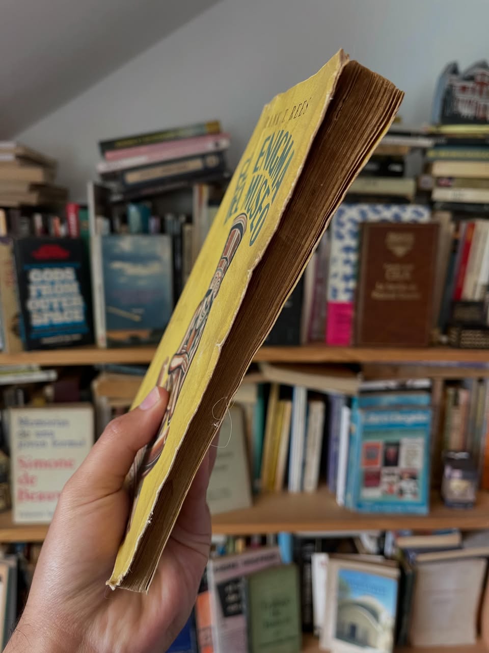 El enigma del museo - Libros Frannie