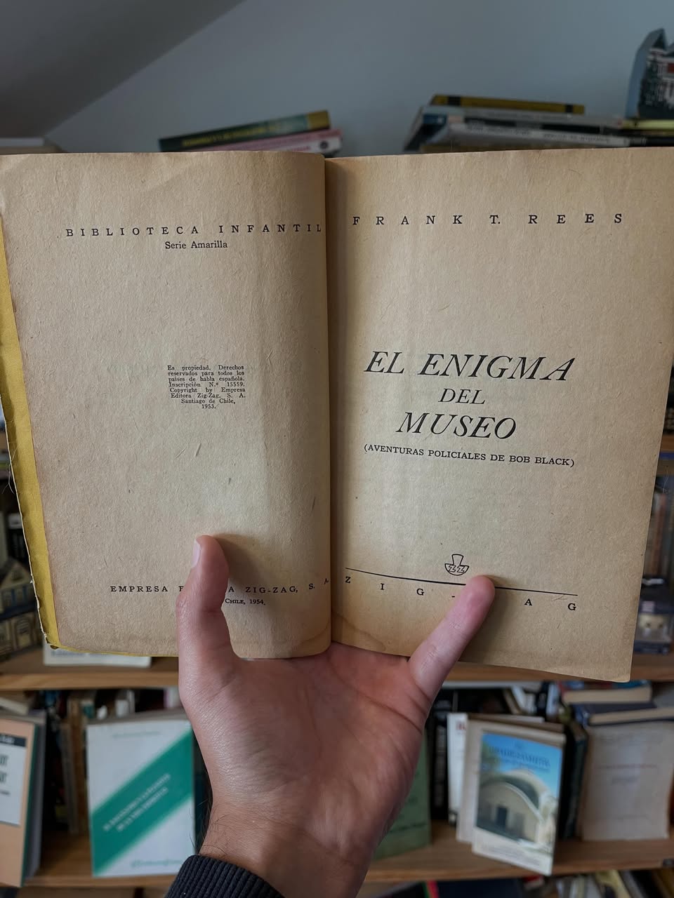 El enigma del museo - Libros Frannie