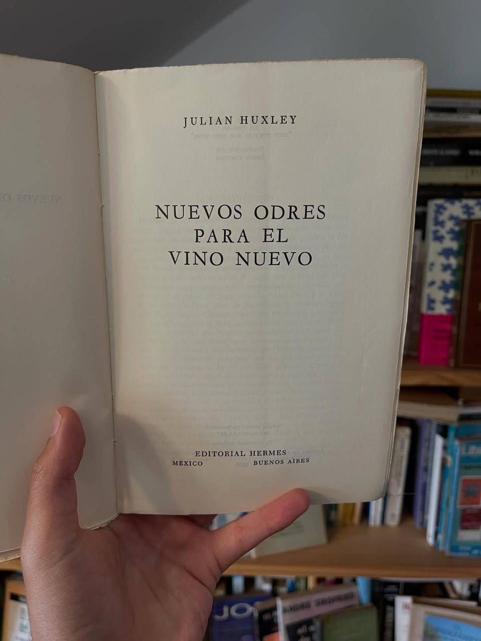 Nuevos odres para vino nuevo - Libros Frannie