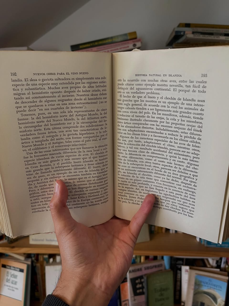 Nuevos odres para vino nuevo - Libros Frannie