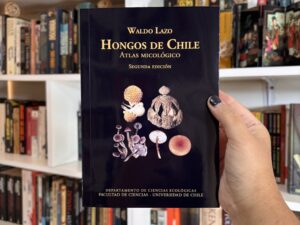 Hongos de Chile, Atlas micológico