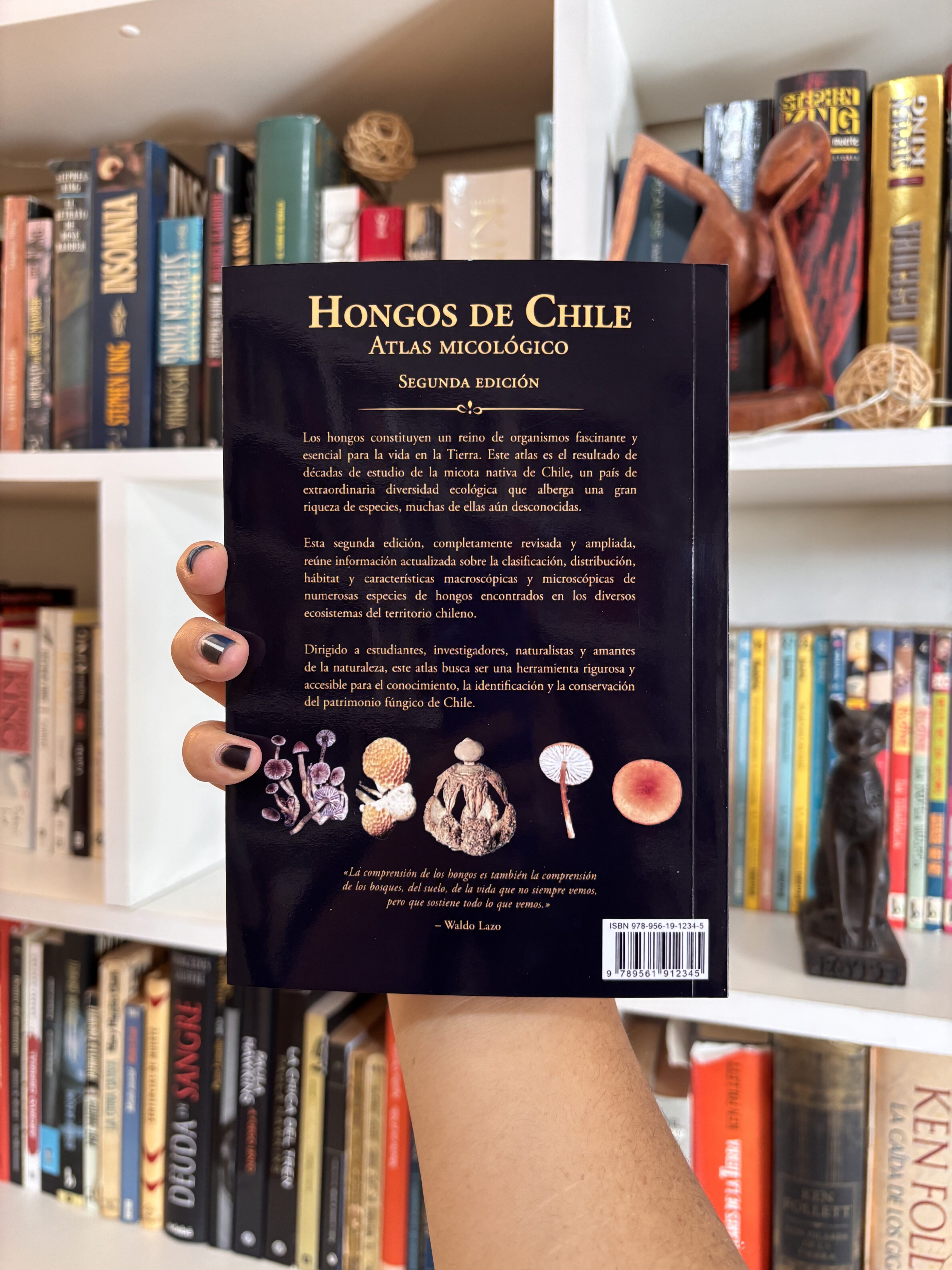 Hongos de Chile, Atlas micológico - Imagen 4