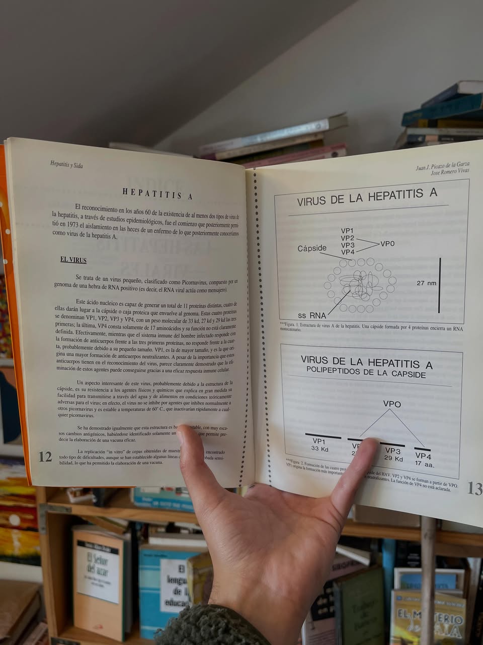 Hepatitis y Sida - Libros Frannie