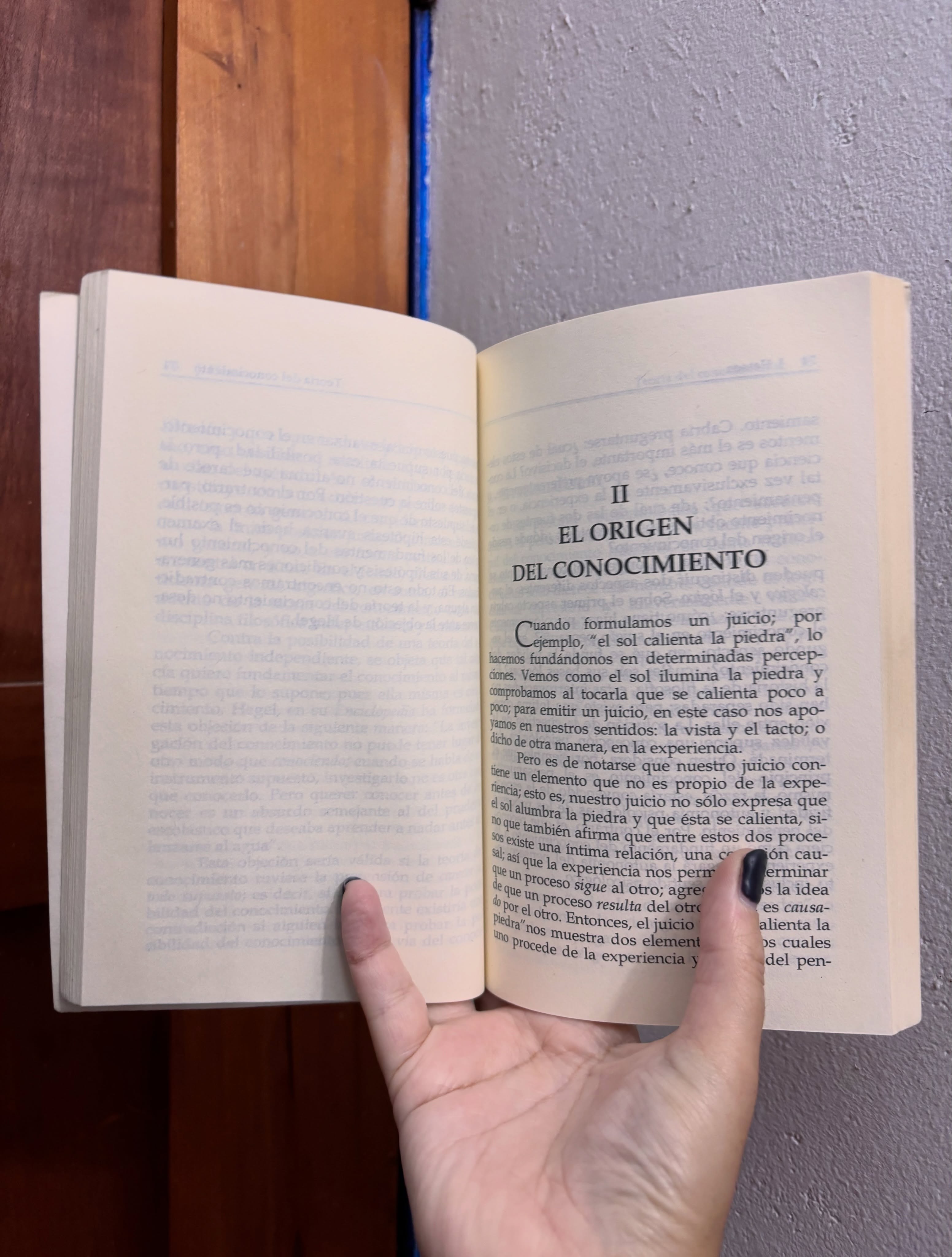 Teoría del conocimiento - Libros Frannie