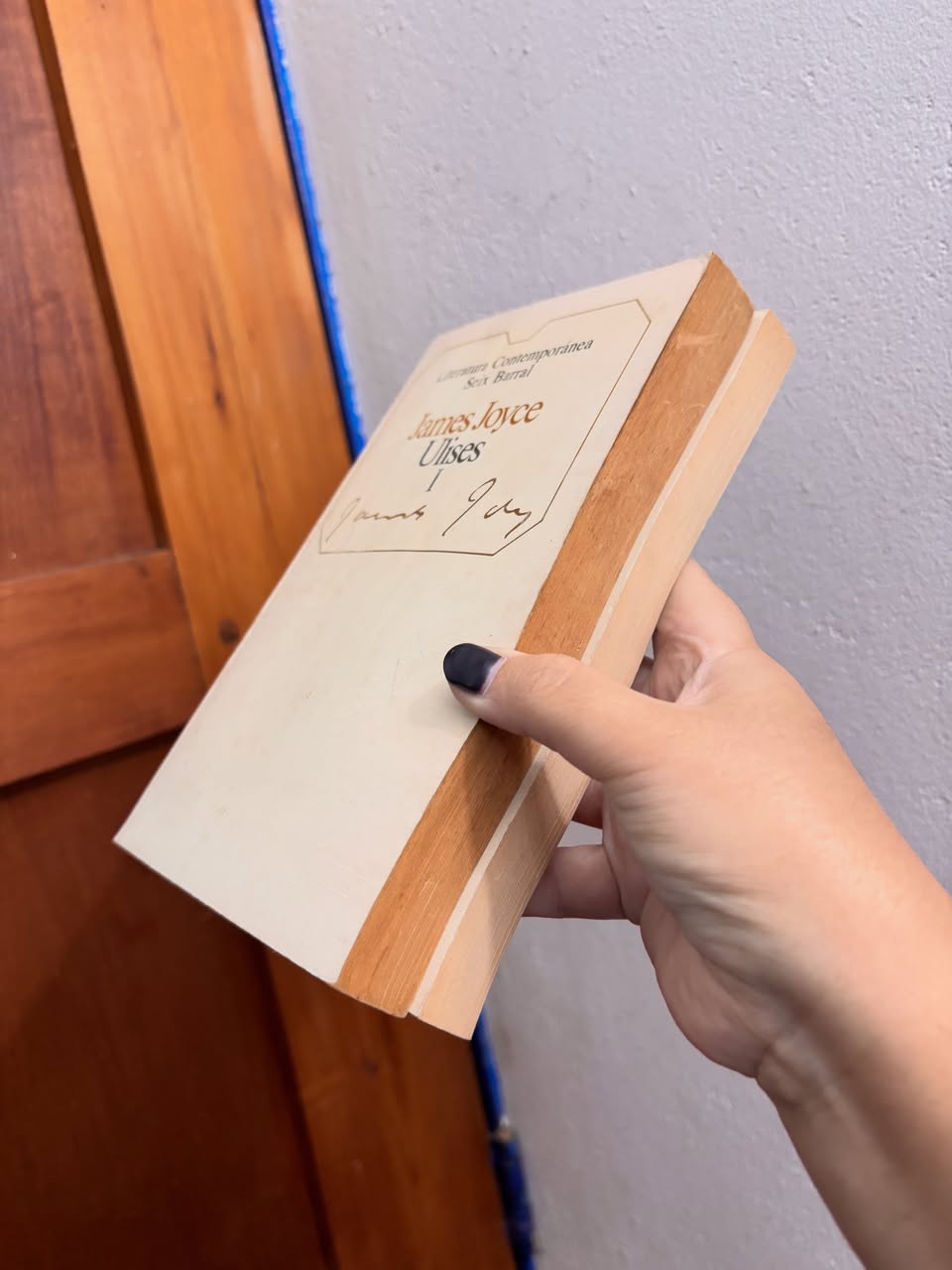 Ulises - Libros Frannie