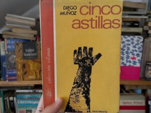 Cinco astillas - Libros Frannie