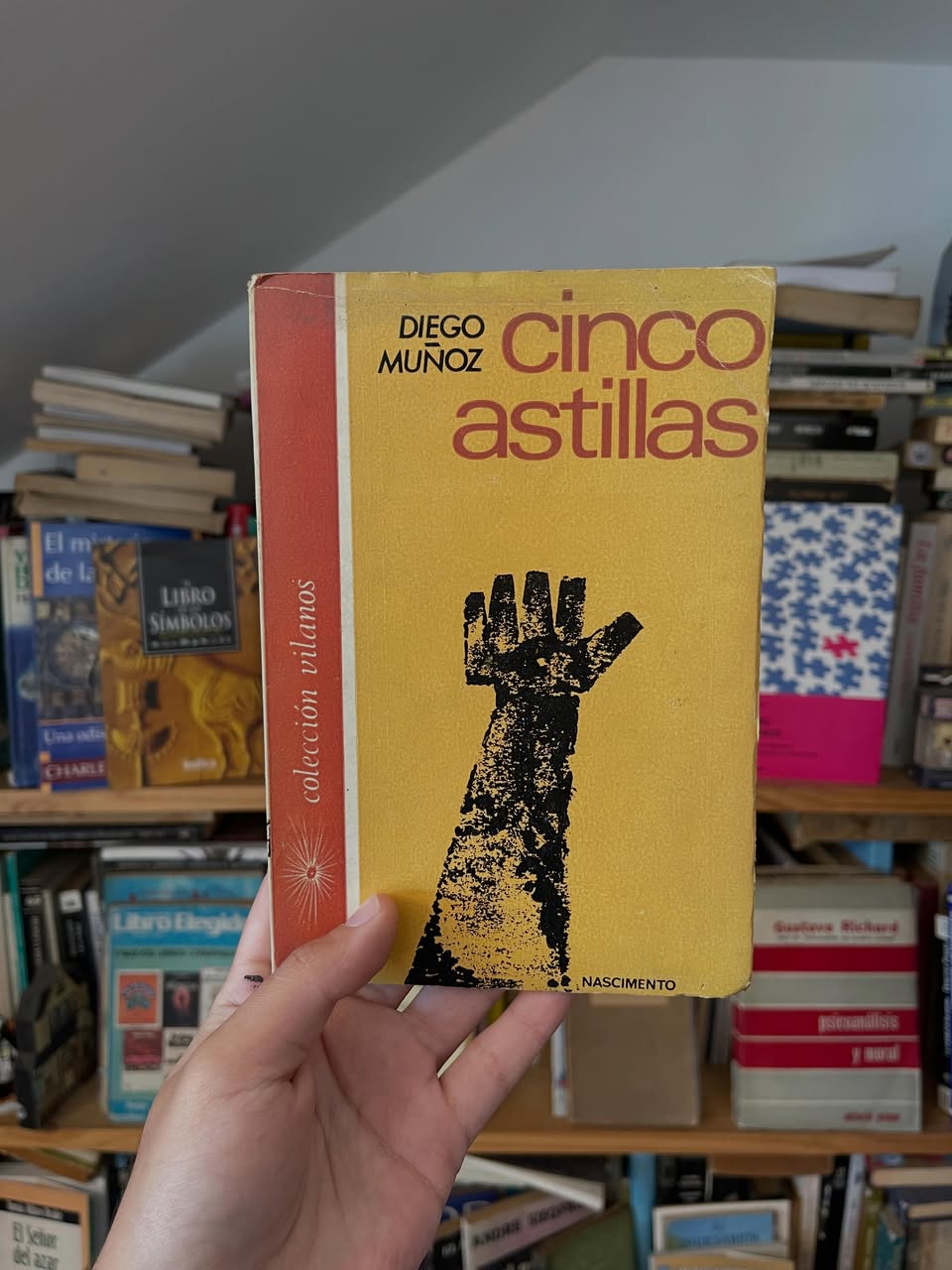 Cinco astillas - Libros Frannie