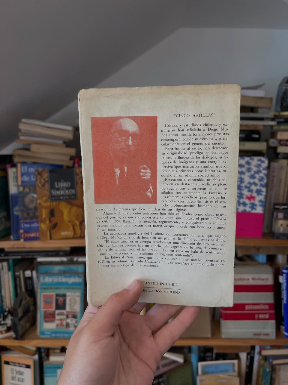 Cinco astillas - Libros Frannie