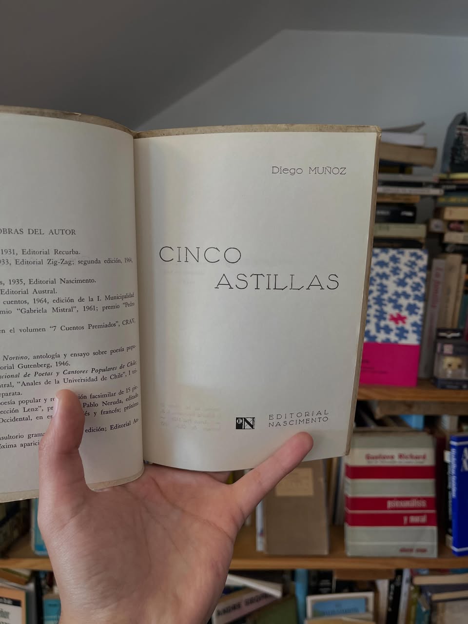 Cinco astillas - Libros Frannie