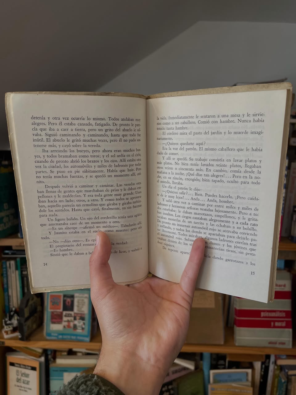 Cinco astillas - Libros Frannie