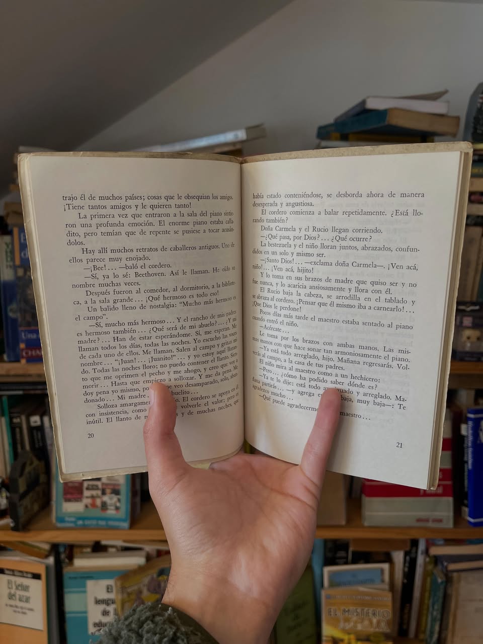 Cinco astillas - Libros Frannie