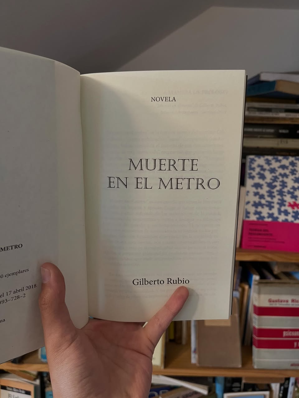 Muerte en el metro - Libros Frannie